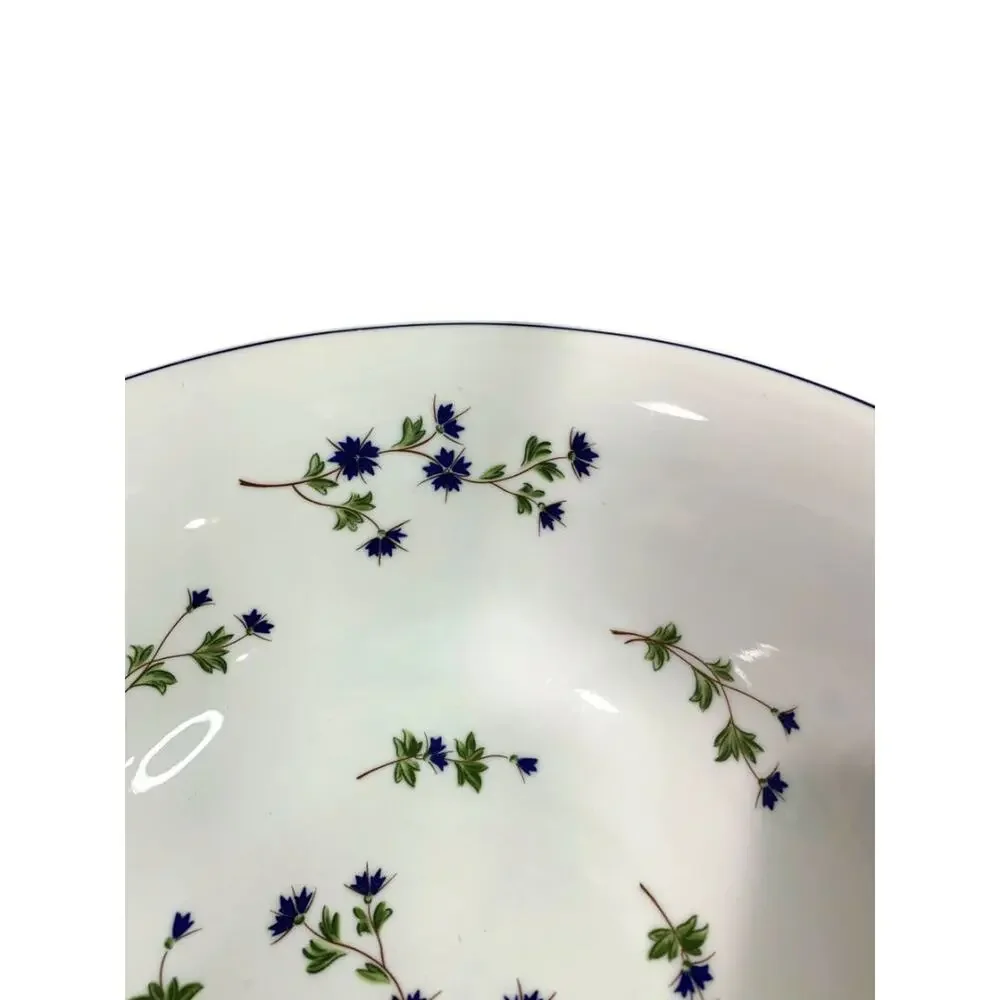 Barbeau by Pillivuyt Centerpiece Serving Bowl Blue Cornflower French Pottery 13